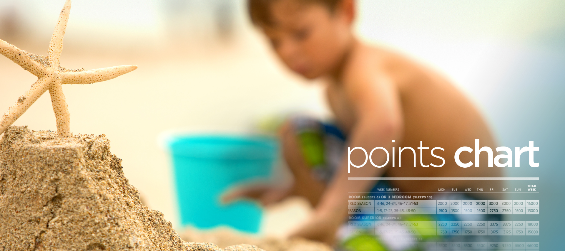 Bluegreen Experience